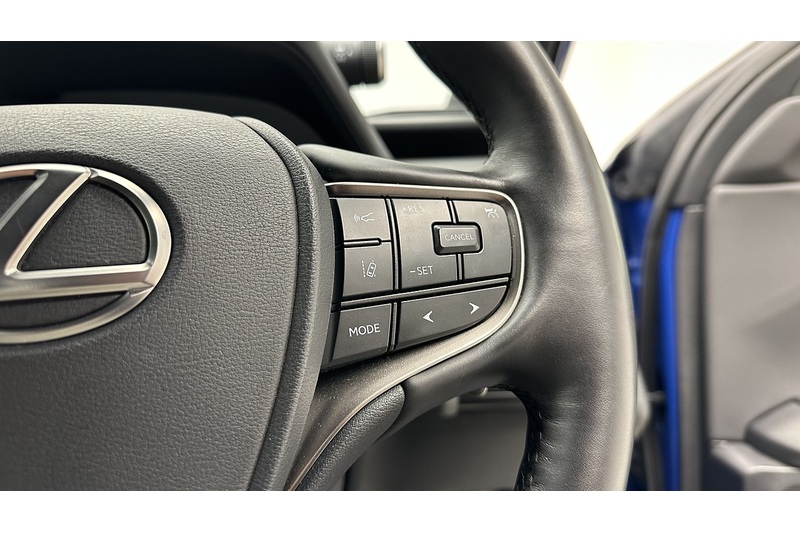 Lexus UX 300e Premium Plus - U1828