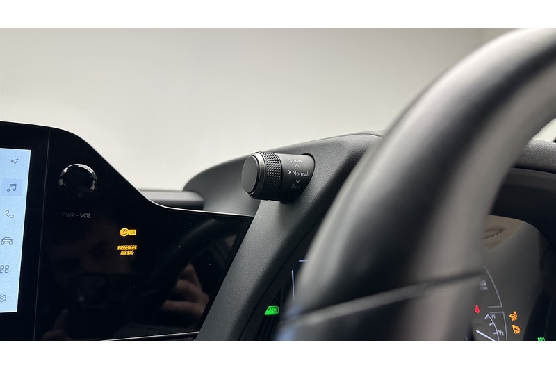 Lexus UX 300e Premium Plus - U1828