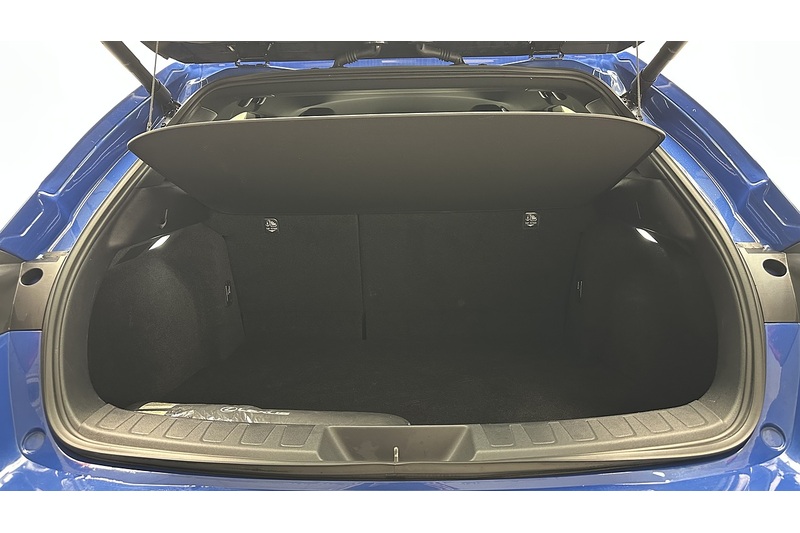 Lexus UX 300e Premium Plus - U1828