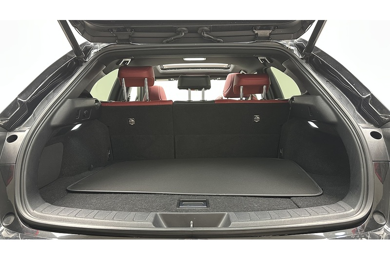 Lexus UX 250h F Sport - U3944