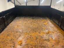 Ford Transit Transit 2.0 350 EcoBlue Leader RWD L3 Euro 6 (s/s) 4dr - U838