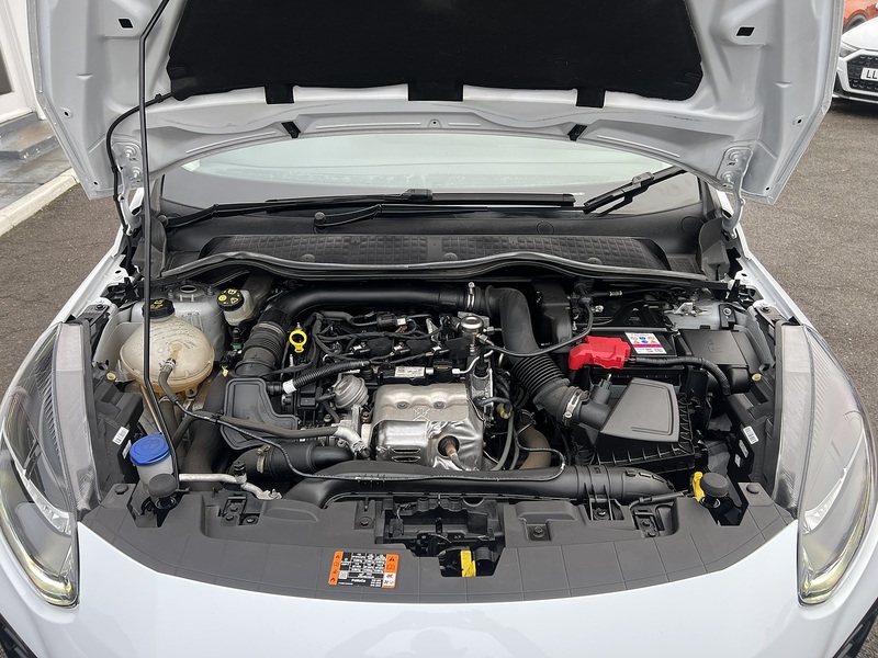 Ford Fiesta 1.0T EcoBoost Active Hatchback 5dr Petrol Manual Euro 6 (s/s) (100 ps) - U1651384