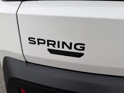 Dacia Spring 70 Cargo - U139