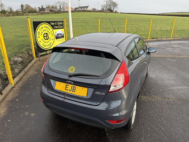 Ford 1.6 TDCi ECOnetic Zetec Hatchback 3dr Diesel Manual Euro 5 (s/s) (95 ps)