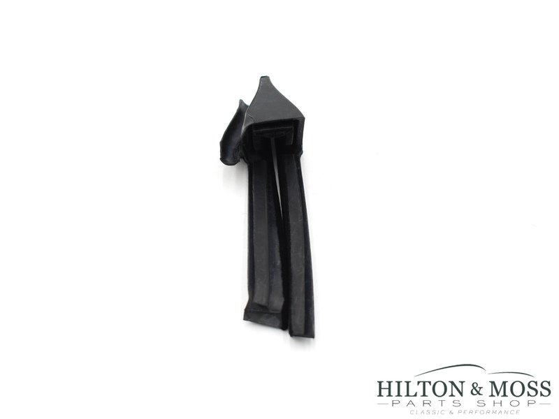 Lotus Elise / Exige A Post Cheater Seal Left LH Image 6