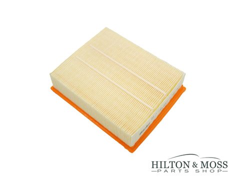 Air filter- Alpine A110