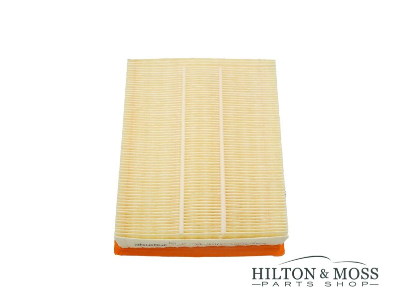 Air filter- Alpine A110 Image 2