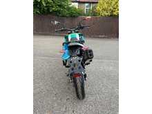 Benelli BKX 125 S 