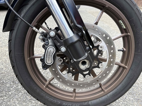 Harley-Davidson Softail FXLRS Low Rider S Custom Cruiser 1868 Manual Petrol