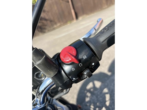 650 Petrol