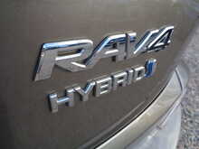 Toyota RAV4 VVT-h Business Edition Plus 