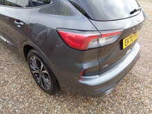 Ford Kuga EcoBlue ST-Line X 