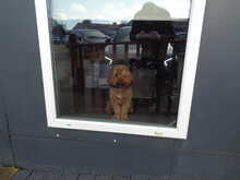 Mercedes-Benz A Class A180 AMG Line Edition 