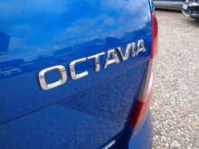 Skoda Octavia TDI Scout 