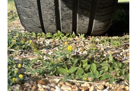 5.9 Vantage Coupe 2dr Petrol Automatic (460 g/km, 420 bhp)