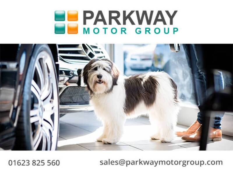 BMW 2.0 20d M Sport SUV 5dr Diesel Auto xDrive Euro 6 (s/s) (190 ps)