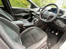 Ford Kuga TDCi EcoBlue ST-Line Edition - U15425