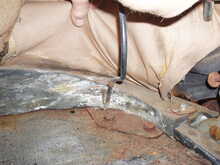 Mercedes-Benz 170S Cabriolet