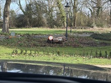 Audi SQ8 2023 TFSI V8 Vorsprung - Thumb 25